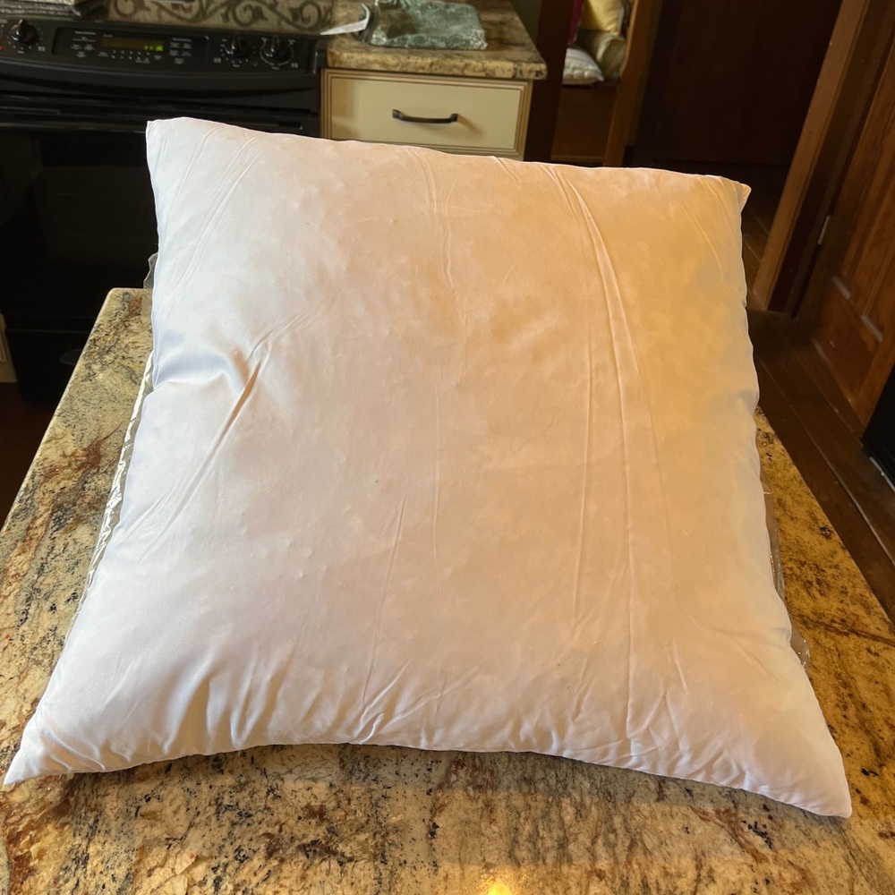 20X20 down insert, Belham